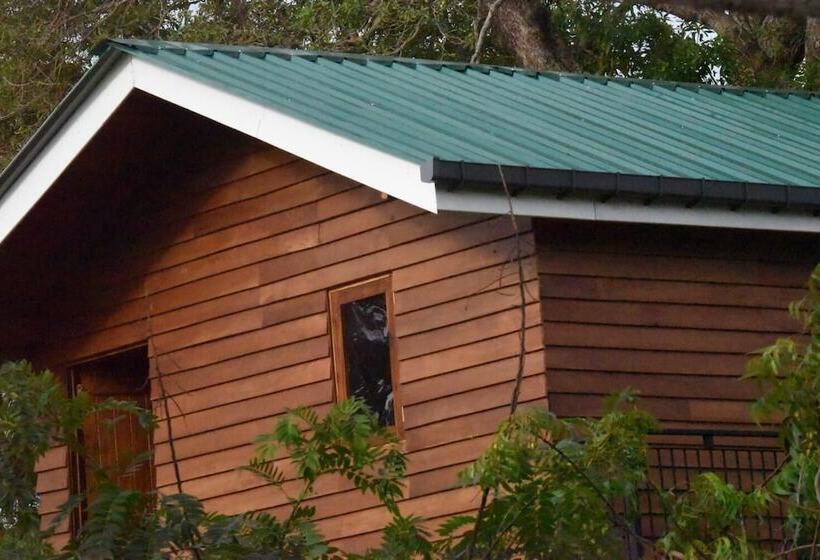 فندق Wilpattu Tree House