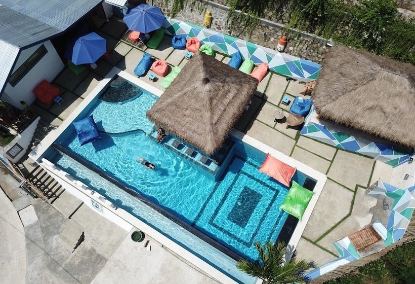 هاستل The Palm Komodo