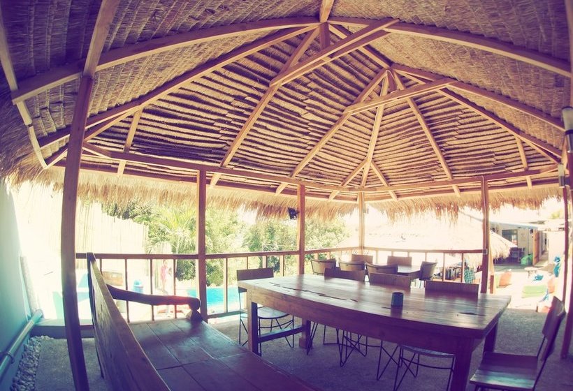 هاستل The Palm Komodo