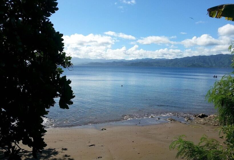 هتل Gecko Lodge Fiji