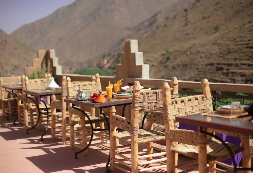 پانسیون Les Terrasses De Toubkal By Chef Tarik