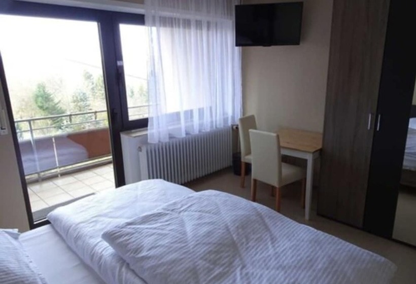 فندق Pension Schlossgarten