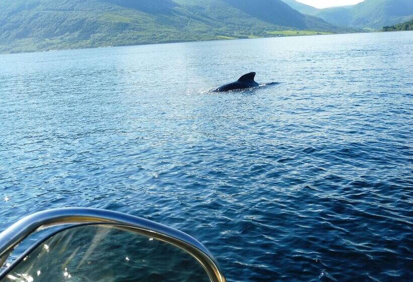Awesome Fishing, Boating And Nature Experience At Fiskesenter Birkeland