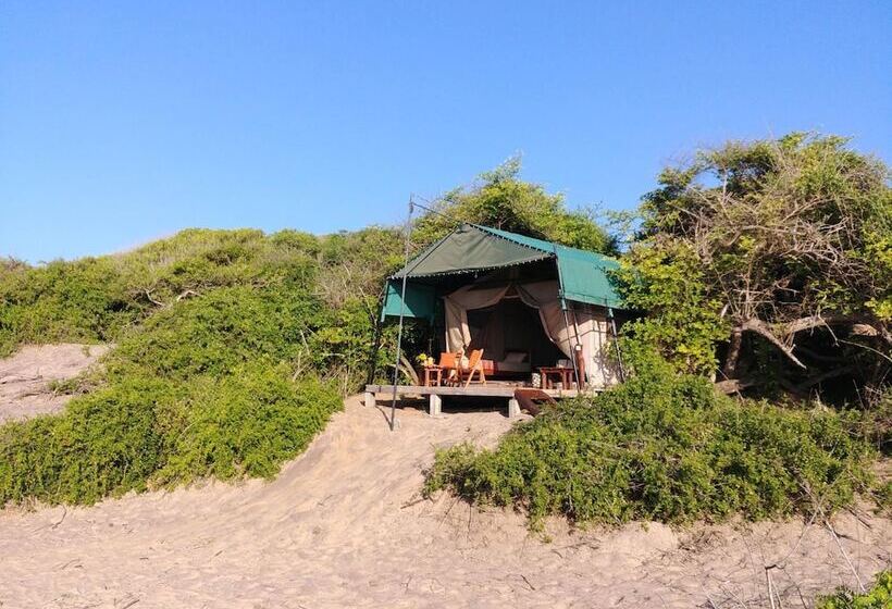 فندق Back Of Beyond Dune Camp Yala
