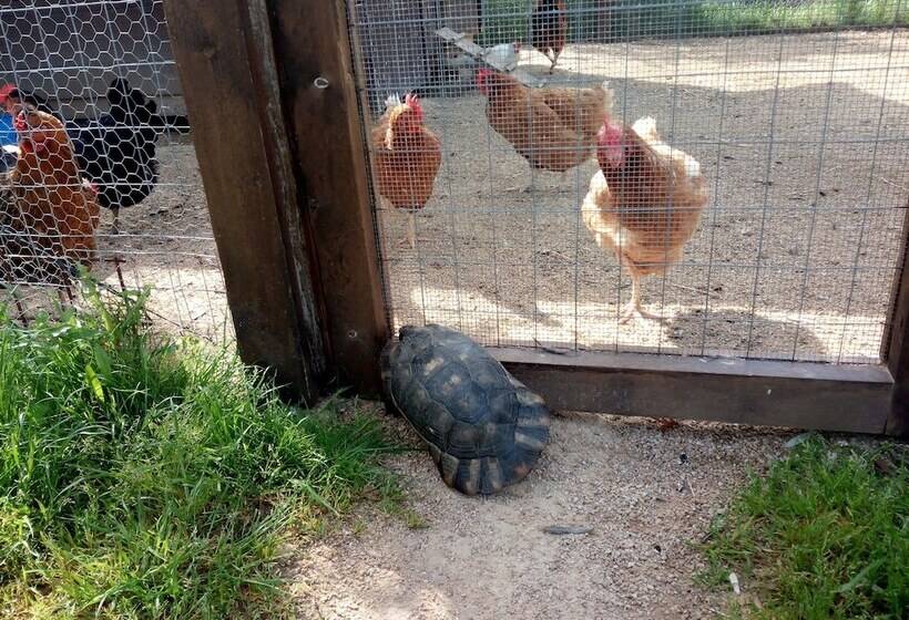 فندق ريفى Tenuta Petra Bianca