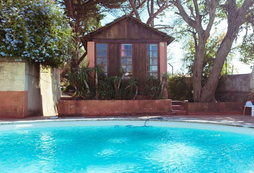 Shepinetree   Capela House