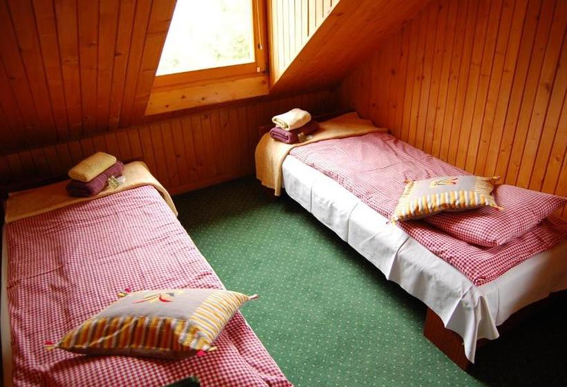 تختخواب و صبحانه Pokoje Gościnne Pod Ciupagą