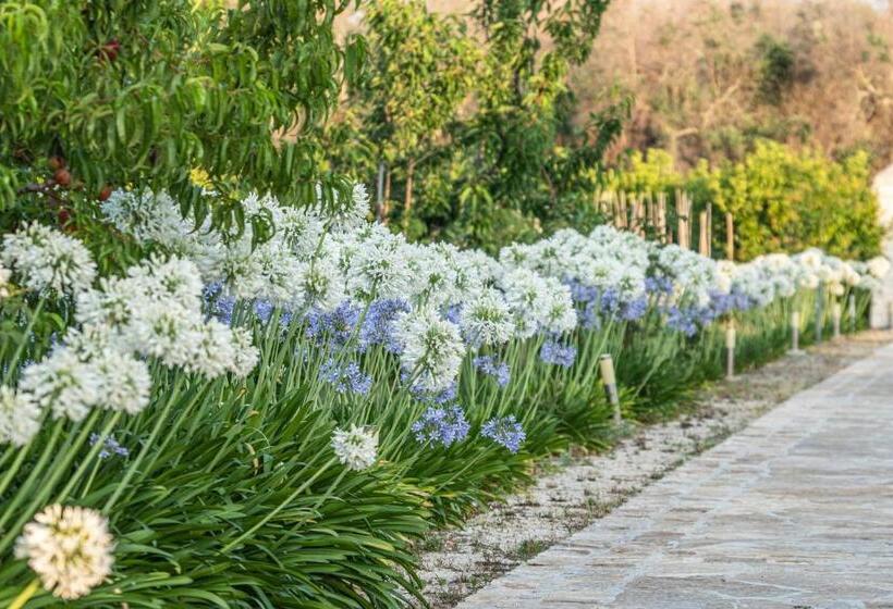 Agriturismo Panacea