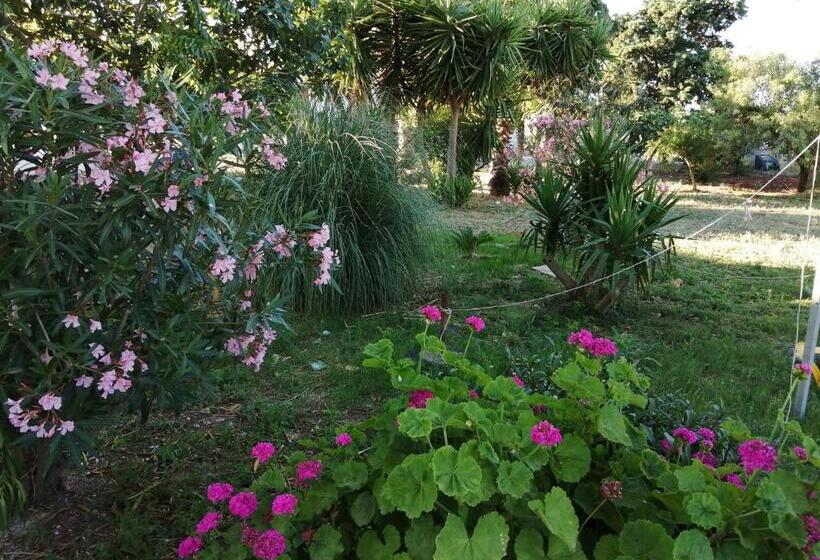 فندق ريفى Agriturismo Tenuta Perruzzi