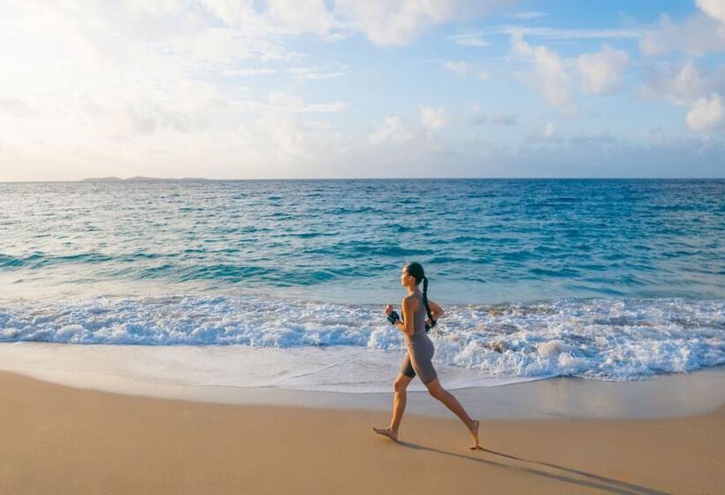 The Westin Beach Resort & Spa At Frenchman S Reef