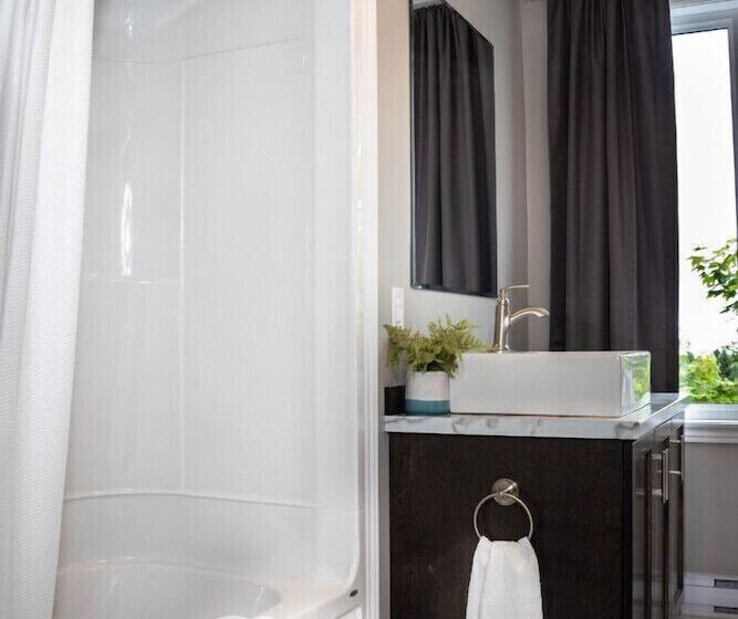 فندق على الطريق Newfound Inn & Suites