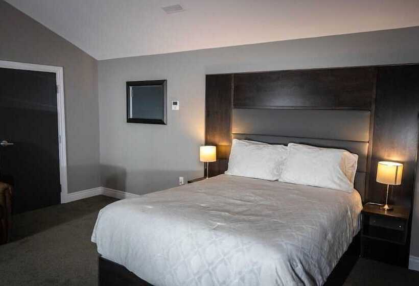 فندق على الطريق Newfound Inn & Suites