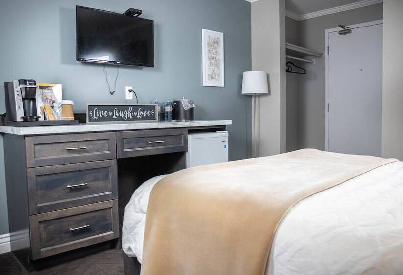 فندق على الطريق Newfound Inn & Suites