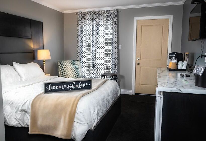 فندق على الطريق Newfound Inn & Suites