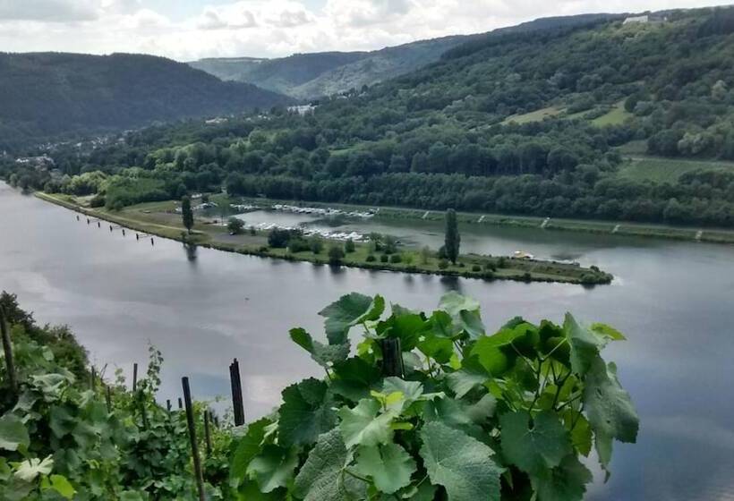 ペンション Weingut Sauer Kettermann