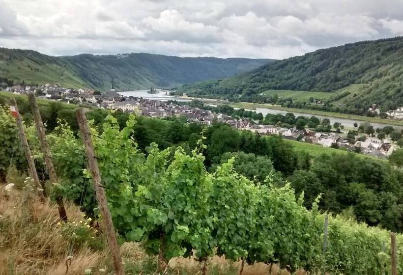 ペンション Weingut Sauer Kettermann