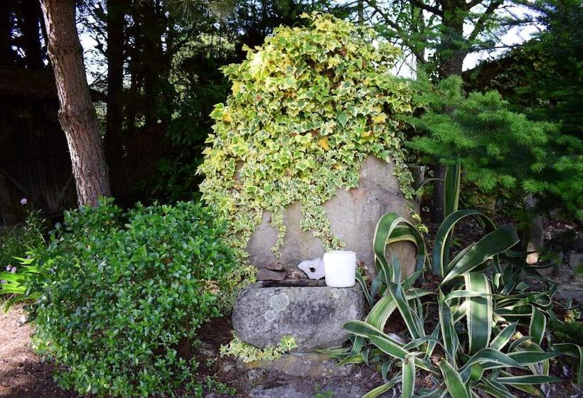 住宿加早餐  Quinta Sul America