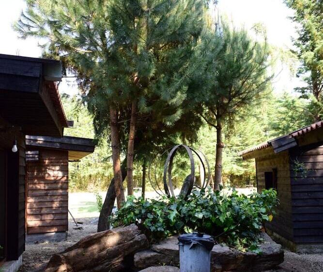 住宿加早餐  Quinta Sul America