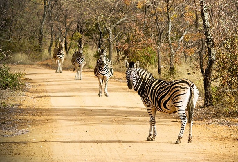 ホテル Kaingo Game Reserve