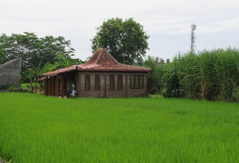 پانسیون Alamanda Family Villas & Pool