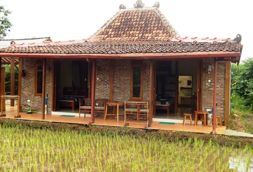 پانسیون Alamanda Family Villas & Pool