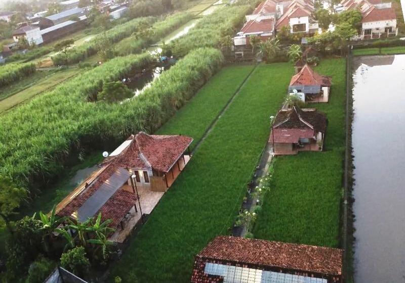 پانسیون Alamanda Family Villas & Pool