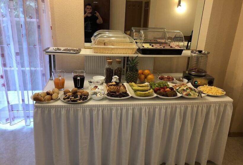 膳宿费 Simona Hotel Frankfurt Airport