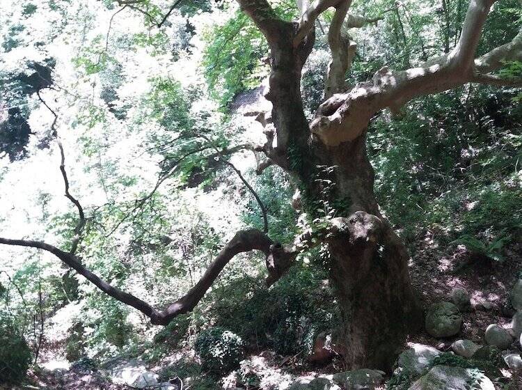 Host El Greco   Hostel