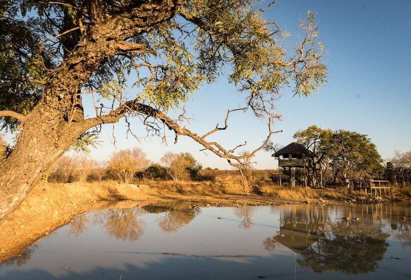 فندق Bushwa Game Lodge