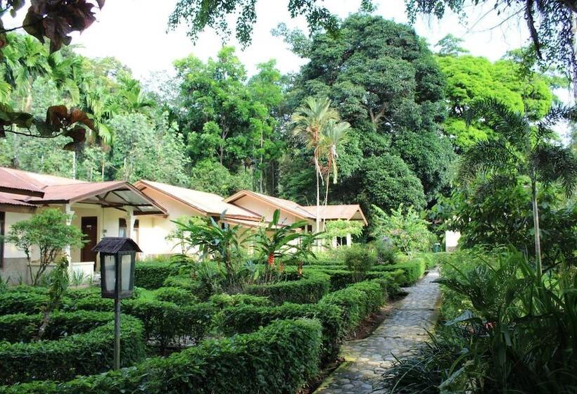 هتل Ecolodge Bukit Lawang