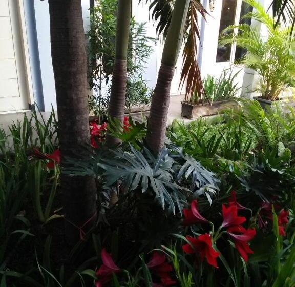 בית מלון כפרי Clover Homestay