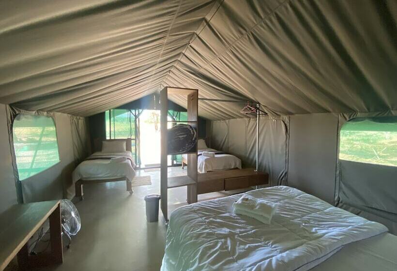 فندق Limpopo Bushveld Retreat