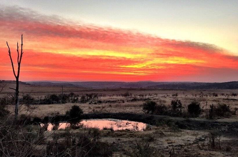 酒店 Nambiti Plains Private Game Lodge