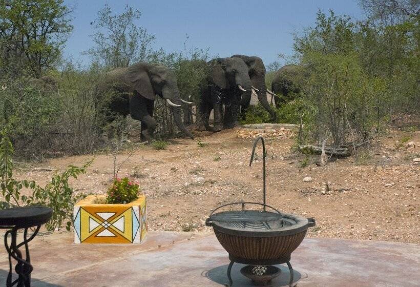 בית מלון כפרי Yingwe