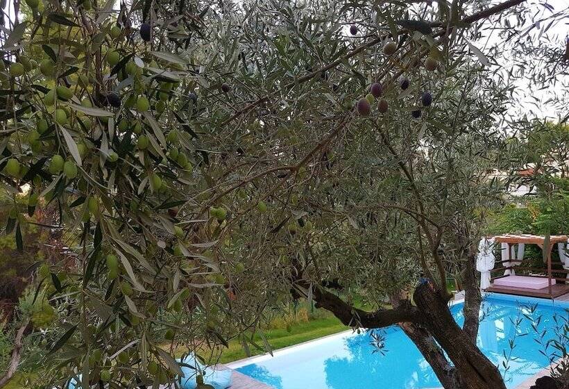 Avatel Eco Lodge