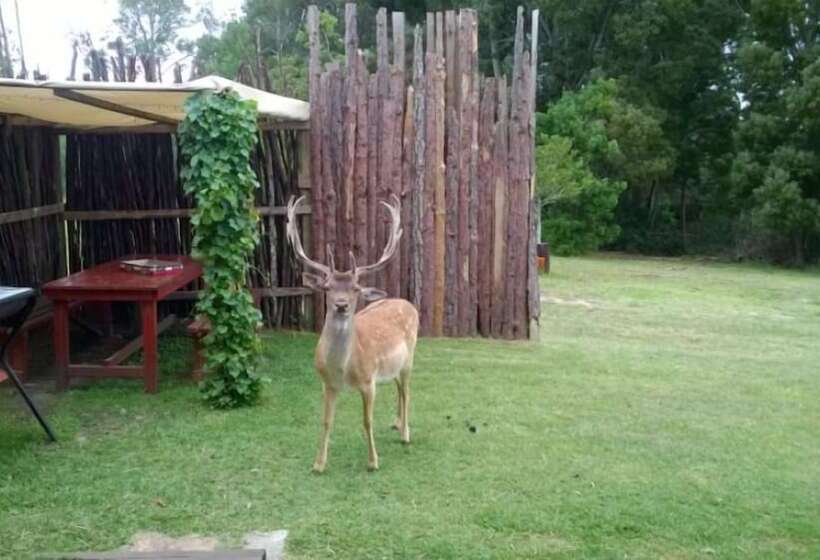 هتل Green Hills Forest Lodge