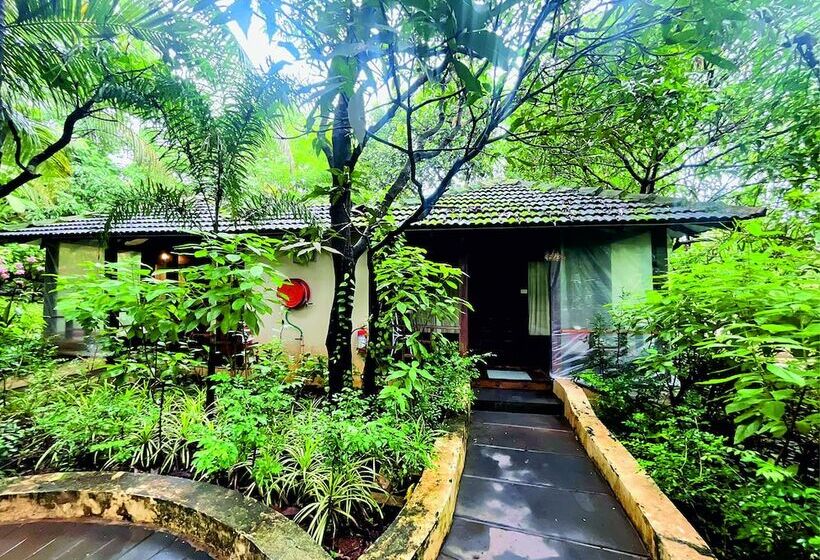 فندق Amritara Aura Resort & Spa