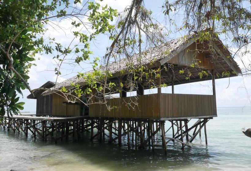 هتل Hamueco Dive Resort Raja Ampat