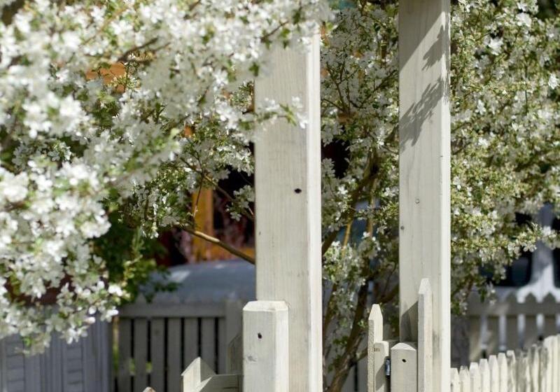 مبيت وإفطار The Alpine House