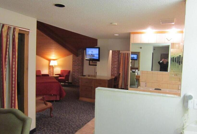 酒店 American Inn And Suites Ionia