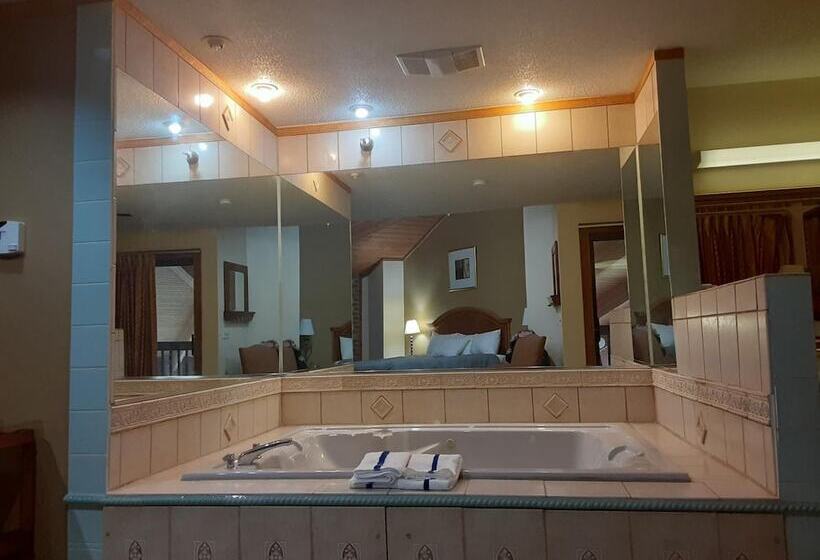 酒店 American Inn And Suites Ionia