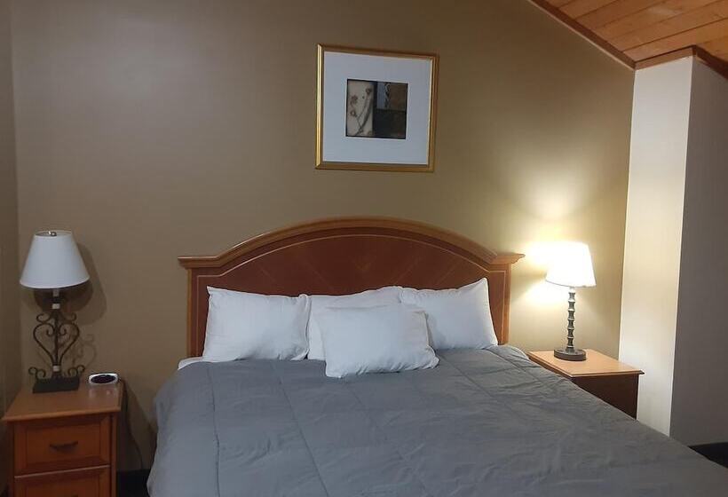 酒店 American Inn And Suites Ionia