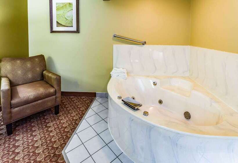 בית מלון כפרי Americinn By Wyndham Blue Earth