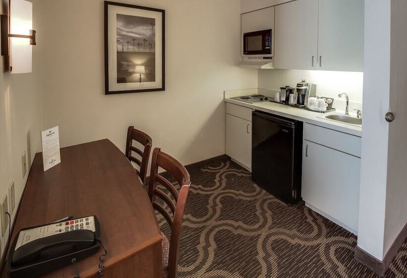 فندق Ashmore Inn And Suites Lubbock