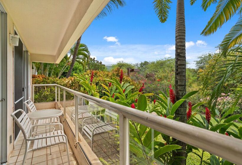 酒店 Aston At The Maui Banyan