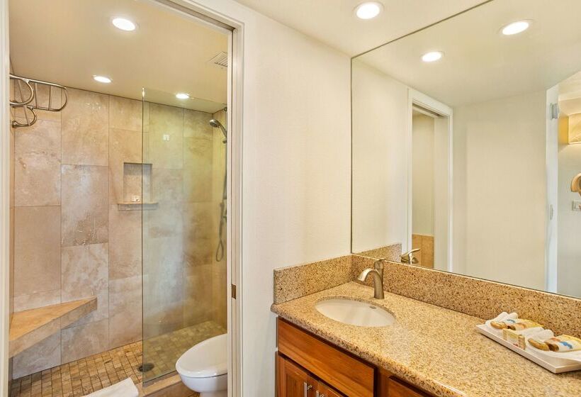 酒店 Aston At The Maui Banyan