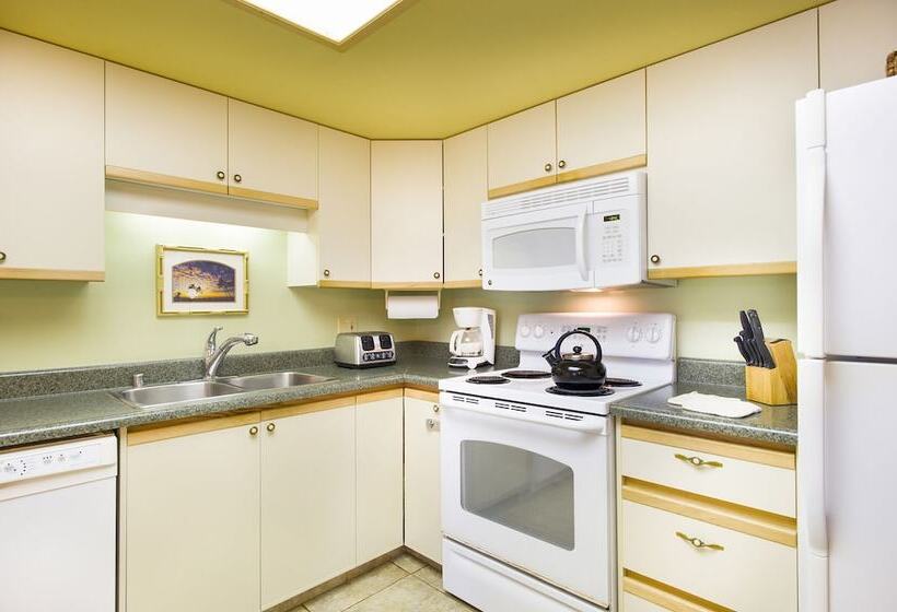 酒店 Aston At The Maui Banyan