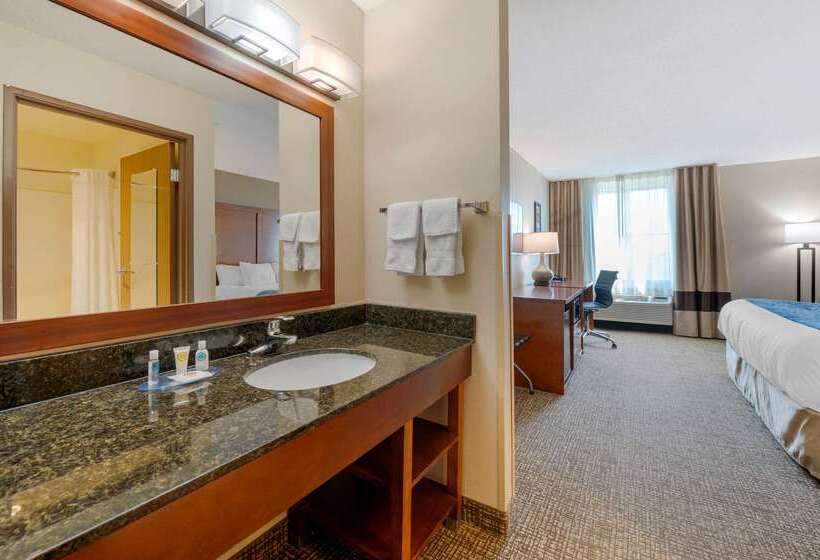 فندق Comfort Inn Anderson South