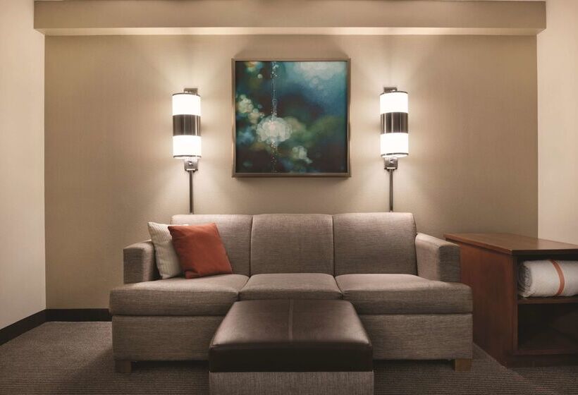فندق Hyatt Place Chicago Hoffman Estates