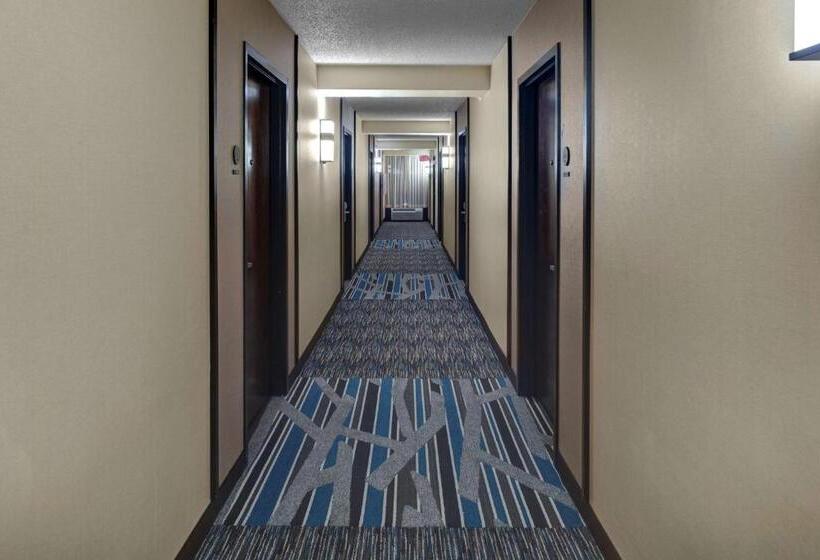 Отель Hyatt Place Chicago/itasca